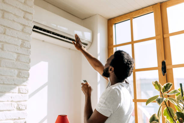 Best HVAC air duct cleaning  in Davis Junction, IL