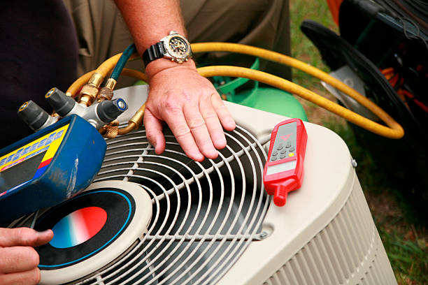 Best Local HVAC companies  in Davis Junction, IL