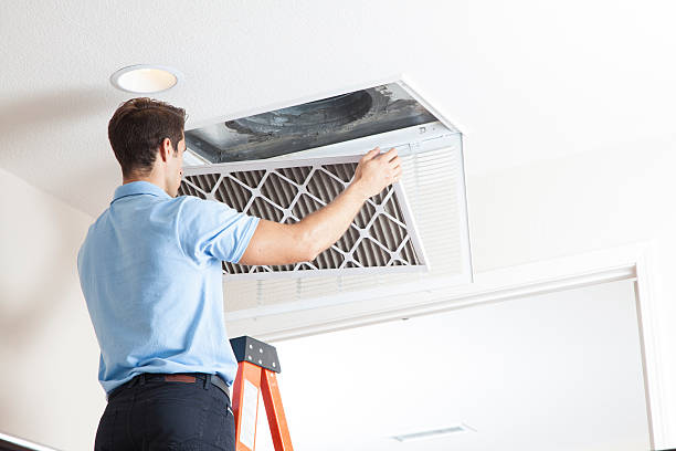 Best Affordable HVAC services  in Davis Junction, IL